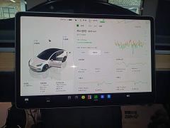 Tesla Model 3 Rear-Wheel Drive - photo 11