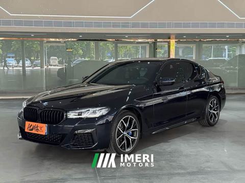 2021 BMW 5 Series (Imported) 530i M Sport Package - ავტომობილი ჩინეთიდან
