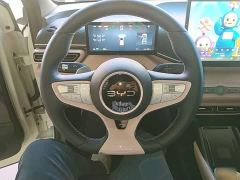 BYD Seagull Smart Driving Edition 305km Freedom Edition - ფოტო 10