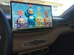 BYD Seagull Smart Driving Edition 305km Freedom Edition - ფოტო 12
