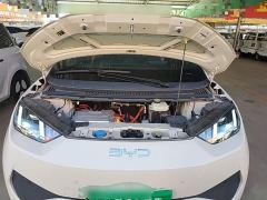 BYD Seagull Smart Driving Edition 305km Freedom Edition - ფოტო 19