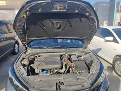 Changan Eado Enjoy Plus Blue Whale NE 1.4T GDI DCT Luxury Edition - photo 19