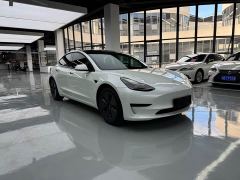 Tesla Model 3 Standard Range RWD Upgrade - ფოტო 3