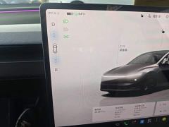 Tesla Model Y Long Range All-Wheel Drive Launch Edition - ფოტო 13
