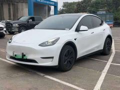 Tesla Model Y Long Range All-Wheel Drive - ფოტო 1