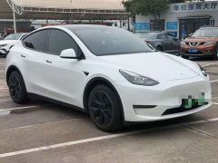 Tesla Model Y Long Range All-Wheel Drive - ფოტო 3