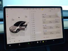 Tesla Model Y Rear-Wheel Drive - ფოტო 14