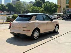 ORA Good Cat 400km Standard Range Athena Edition LFP Battery - фото 4