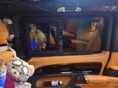 Mercedes-Benz Vito 2.0T Business Edition 7-Seater - photo 9