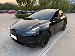 Tesla Model Y Standard Range RWD - photo 1