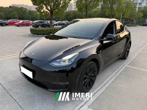 2021 Tesla Model Y Standard Range RWD - автомобиль из Китая