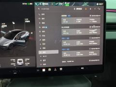 Tesla Model 3 Rear-Wheel Drive - ფოტო 14