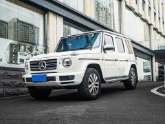 Mercedes-Benz G-Class G 350 - ფოტო 1