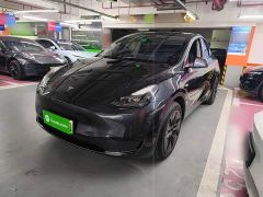 Tesla Model Y Rear-Wheel Drive - ფოტო 1