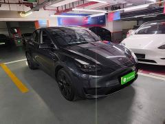 Tesla Model Y Rear-Wheel Drive - ფოტო 3
