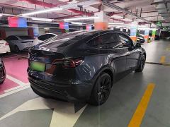 Tesla Model Y Rear-Wheel Drive - ფოტო 6