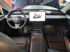 Tesla Model Y Rear-Wheel Drive - ფოტო 9