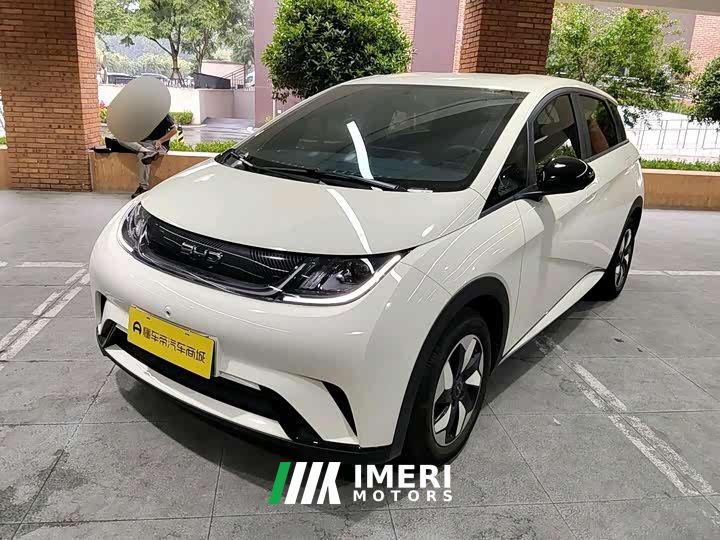 BYD Dolphin 420km Freedom Edition - ავტომობილი ჩინეთიდან