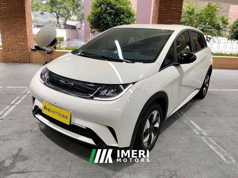 2026 BYD Dolphin 420km Freedom Edition - ავტომობილი ჩინეთიდან
