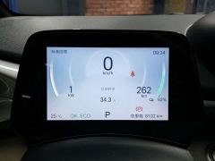 BYD Dolphin 420km Freedom Edition - ფოტო 14