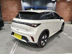 BYD Dolphin 420km Freedom Edition - ფოტო 4