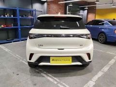 BYD Dolphin 420km Freedom Edition - ფოტო 8