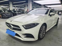 Mercedes-Benz CLS 300 Luxury - ფოტო 1
