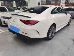 Mercedes-Benz CLS 300 Luxury - ფოტო 10