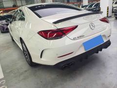 Mercedes-Benz CLS 300 Luxury - ფოტო 11