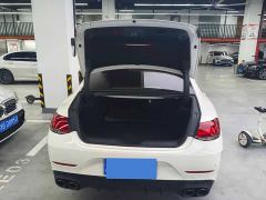 Mercedes-Benz CLS 300 Luxury - ფოტო 12