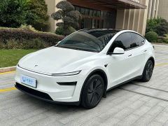 Tesla Model Y Rear-Wheel Drive - photo 1