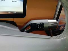 LEVC Yizhen L380 805km Flagship Edition Four-Wheel Drive - photo 13