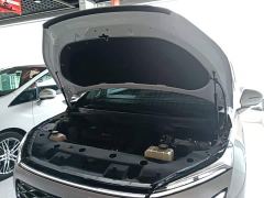 Buick GL8 New Energy Luzun Smart Comfort Edition 7-Seater - photo 15