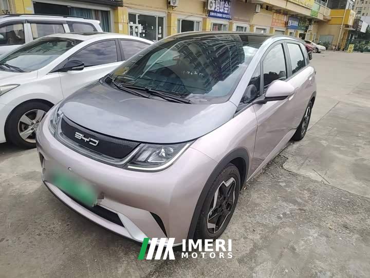 BYD Dolphin 405km Fashion Edition - ავტომობილი ჩინეთიდან