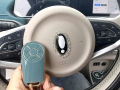 ORA Good Cat Morandis 400km Standard Range Luxury Ternary Lithium - фото 8