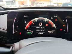 Trumpchi Leopard 270T DCT J15 - photo 11