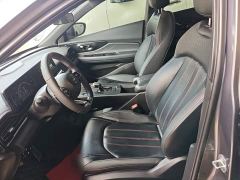 Trumpchi Leopard 270T DCT J15 - photo 14