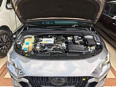 Trumpchi Leopard 270T DCT J15 - photo 19