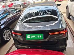 Trumpchi Leopard 270T DCT J15 - photo 5