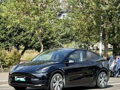 Tesla Model Y Rear-Wheel Drive - photo 1