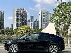 Tesla Model Y Rear-Wheel Drive - photo 3