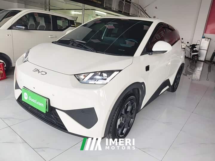 BYD Seagull Smart Driving Edition 305km Freedom Edition
