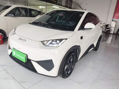 BYD Seagull Smart Driving Edition 305km Freedom Edition - ფოტო 1