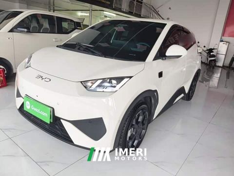 2025 BYD Seagull Smart Driving Edition 305km Freedom Edition - ავტომობილი ჩინეთიდან