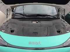 smart #1 Pulse Heartbeat Edition - photo 19