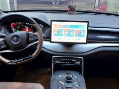 BYD Yuan Plus DM-i 112KM Premium Edition - ფოტო 10
