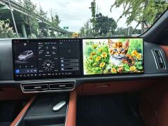 Li Auto L9 Max - ფოტო 6