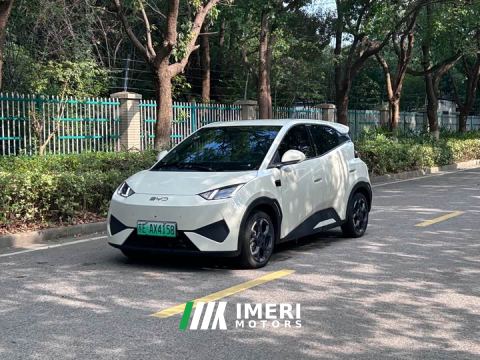2025 BYD Seagull Smart Drive 305km Vitality Edition