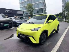 BYD Seagull Vitality Edition - photo 1