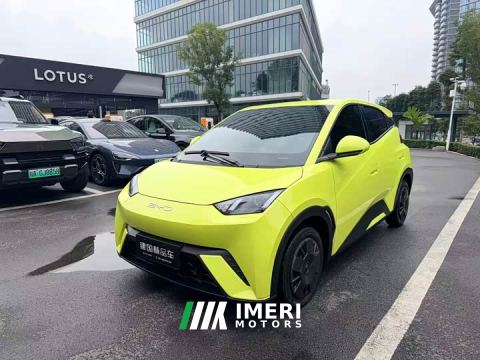 2023 BYD Seagull Vitality Edition - ავტომობილი ჩინეთიდან